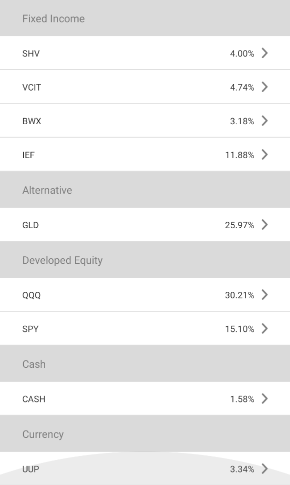 SquirrelSave Very Aggressive Portfolio's investment composition