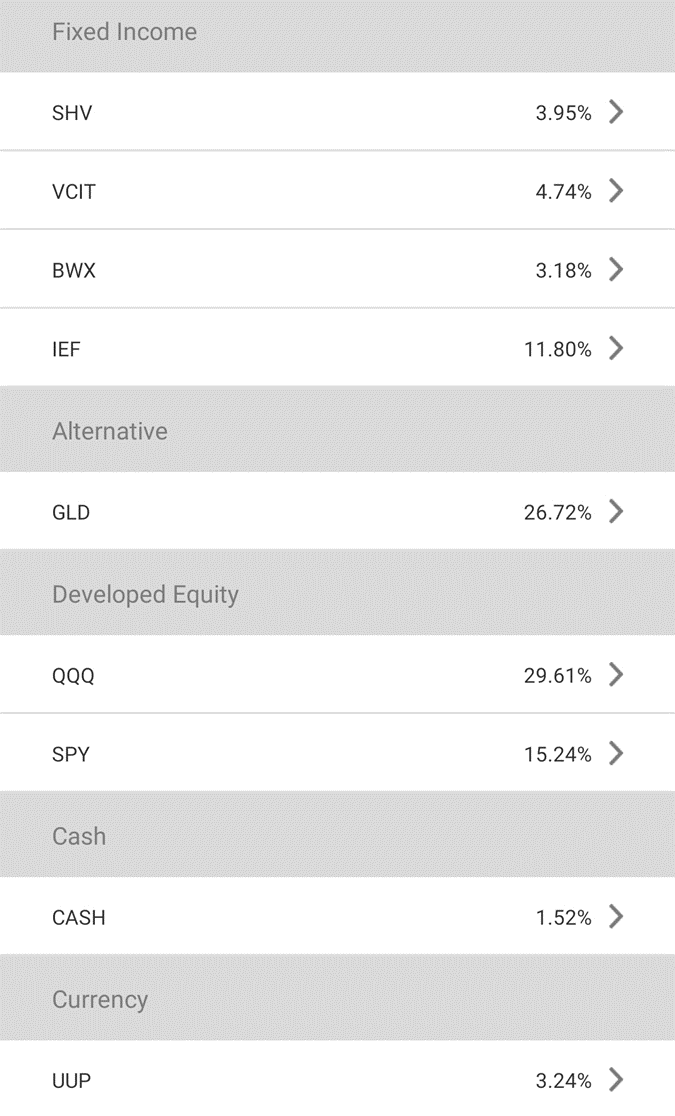 SquirrelSave Very Aggressive Portfolio's investment composition